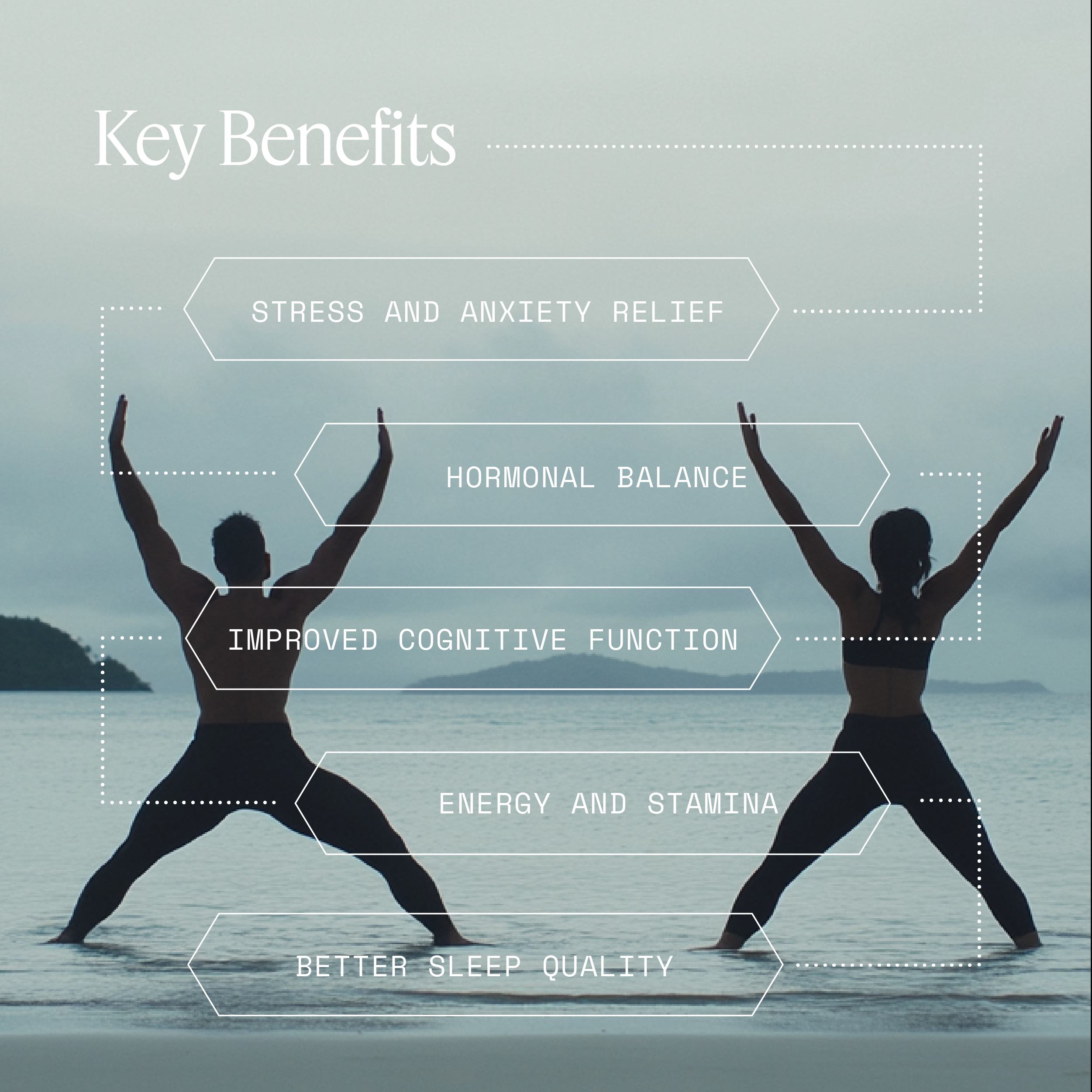 PhytoMoss+ — product image 4 of 6